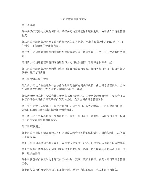 公司逐级管理制度大全