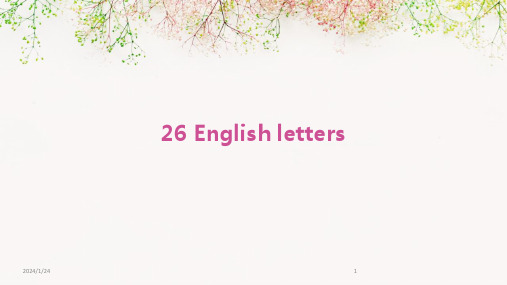 26 English letters(2024)