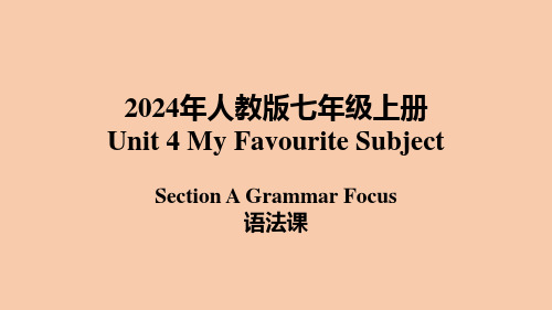 新人教版英语七年级上册Unit 4 课时3 Section A(Grammar Focus)同步课件