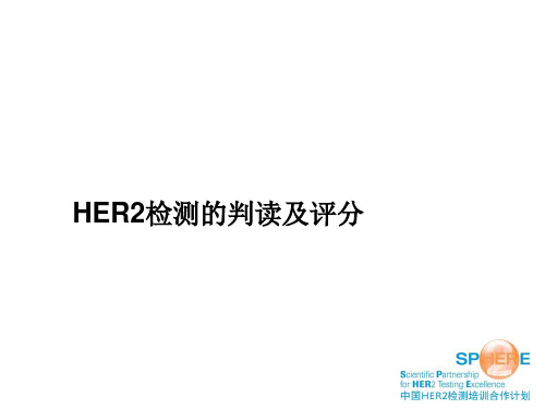 胃癌HER2判读及评分