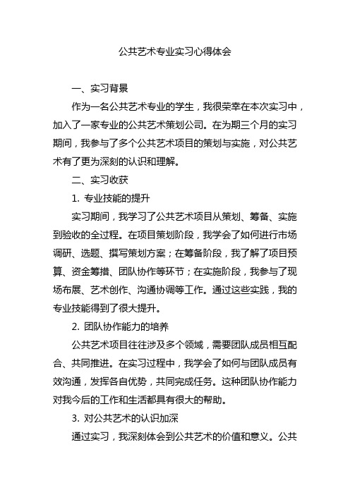 公共艺术专业实习心得体会