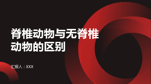 什么是脊椎动物?它们和无脊椎动物有何不同?