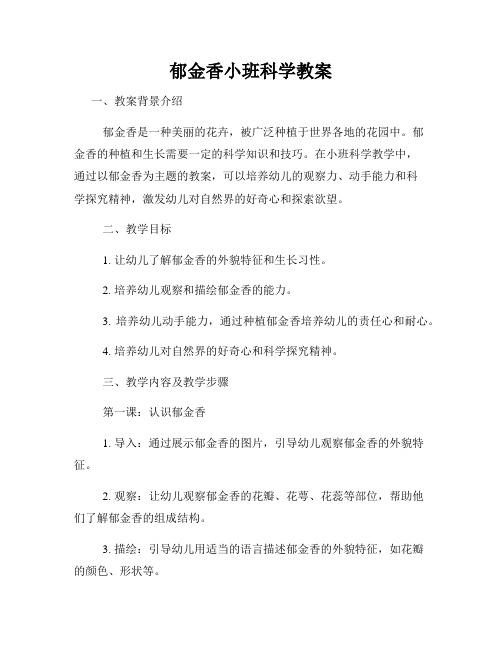 郁金香小班科学教案