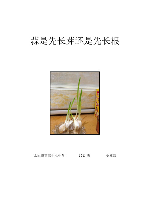 蒜是先长芽还是先长根