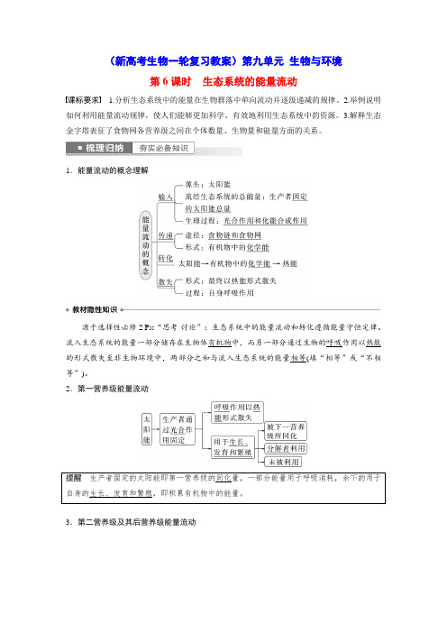 生态系统的能量流动(新高考生物一轮复习教案)