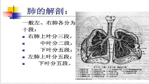 【医学课件】肺康复与体位排痰技术