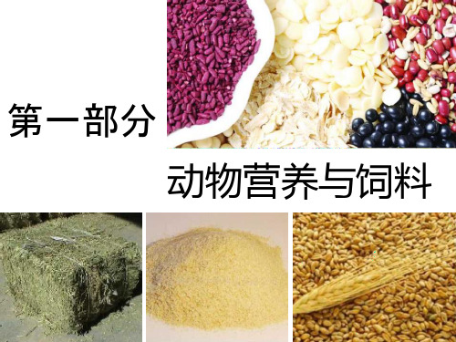 第二讲 动物营养与饲料课件