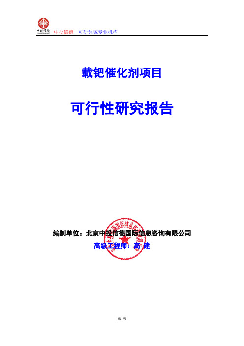 载钯催化剂项目可行性研究报告编制格式说明(模板型word)