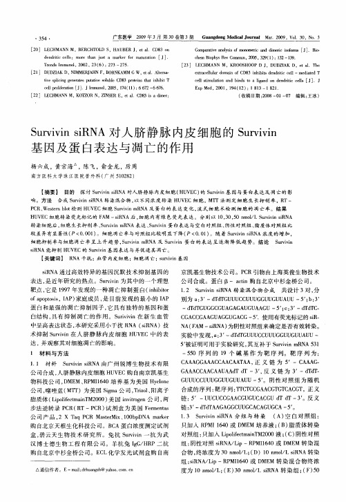 Survivin siRNA对人脐静脉内皮细胞的Survivin基因及蛋白表达与凋亡的作用
