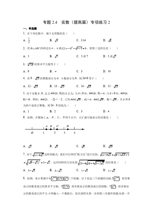 专题2-4 实数(提高篇)21-22八年级数学上复习精练(北师大版)