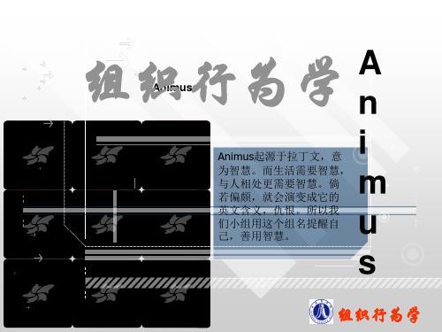 归因理论