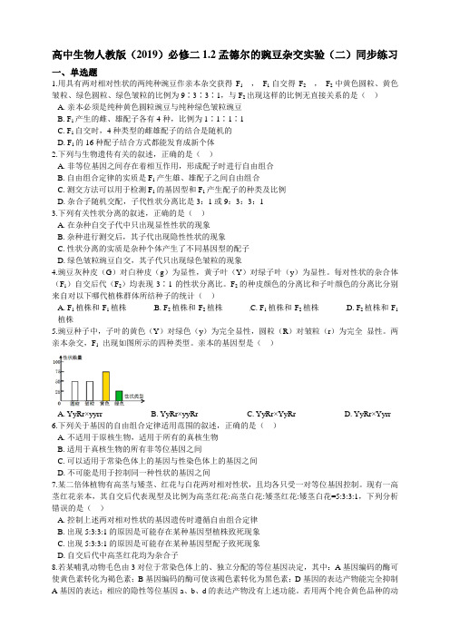 高中生物第二册 1 2孟德尔的豌豆杂交实验(二)同步练习(含解析)