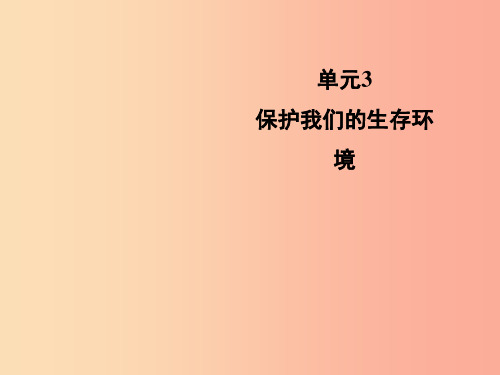 九年级化学下册 专题九 化学与生活 单元3《保护我们的生存环境》教学课件 (新版)湘教版