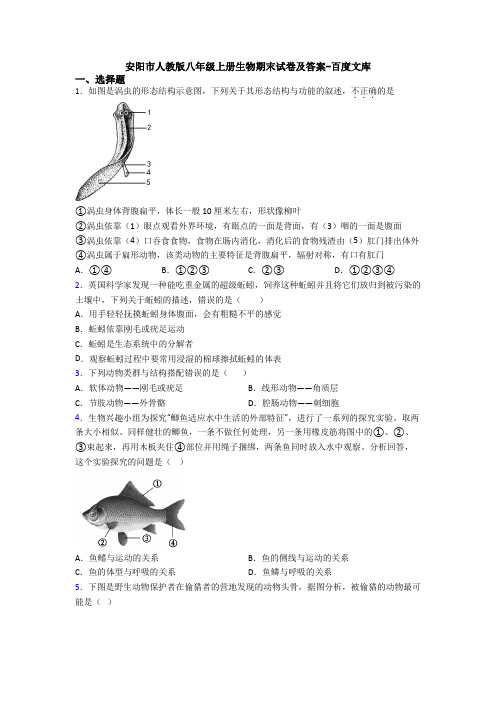 安阳市人教版八年级上册生物期末试卷及答案-百度文库