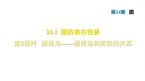 2018秋人教版九年级数学上册课件：第24章圆24.1.5  圆周角——圆周角和直径的关系(共31张PPT)