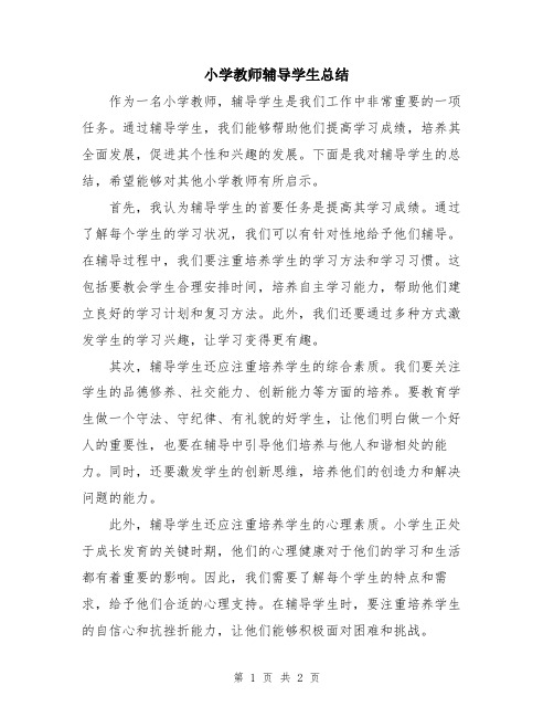 小学教师辅导学生总结