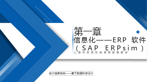 会计信息系统设计【ch01】信息化——erp软件(sap erpsim) 培训教学课件