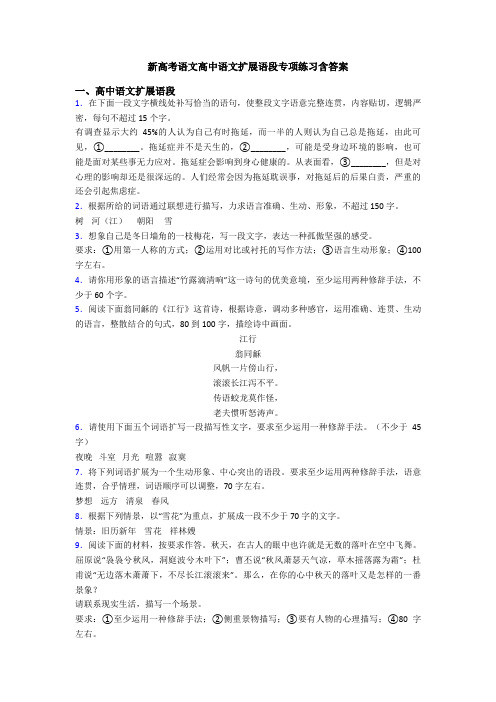 新高考语文高中语文扩展语段专项练习含答案