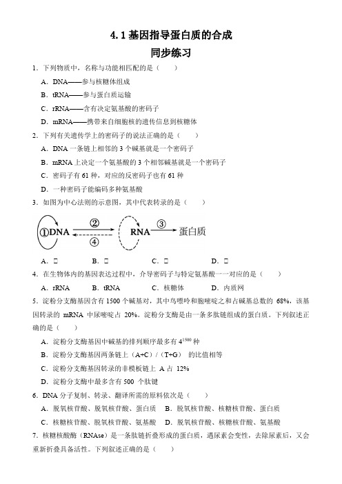 基因指导蛋白质的合成同步练习 高一下学期生物人教版必修2