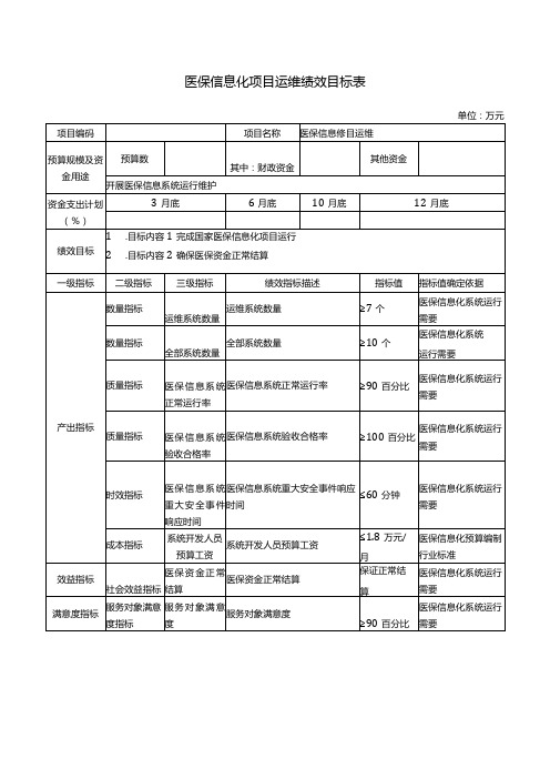 医保信息化项目运维绩效目标表