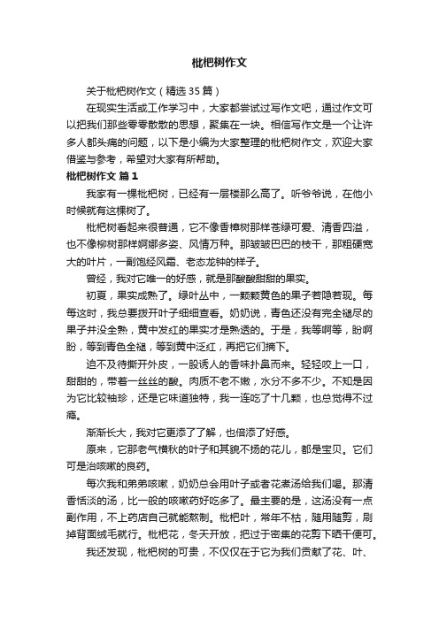 关于枇杷树作文（精选35篇）