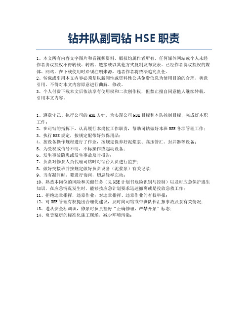 钻井队副司钻HSE职责.docx