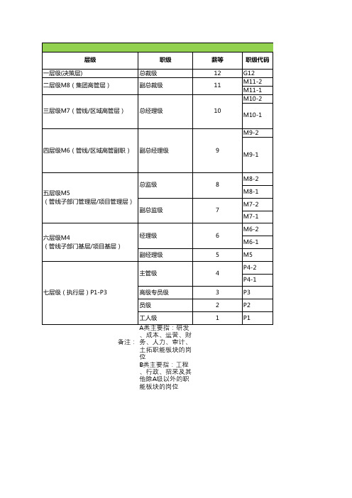 职位职级通道设计表——XX公司