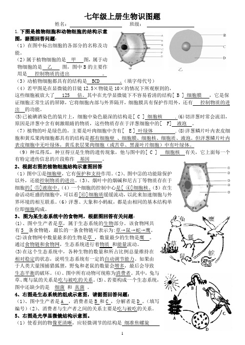 (完整)生物七年级生物上册识图题带答案