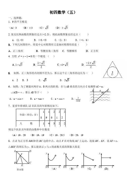 初四数学模拟(五)