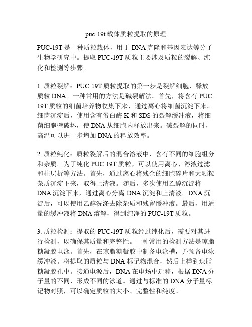 puc-19t载体质粒提取的原理