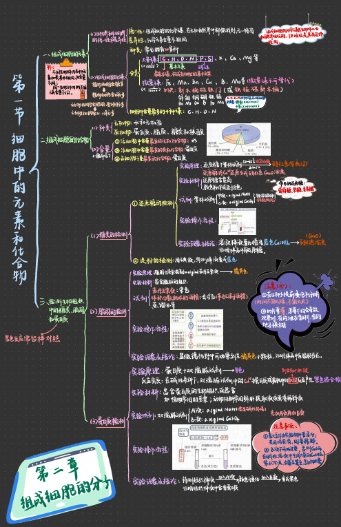 高中生物必修一第二章第一节 细胞中的元素和化合物(框架图)