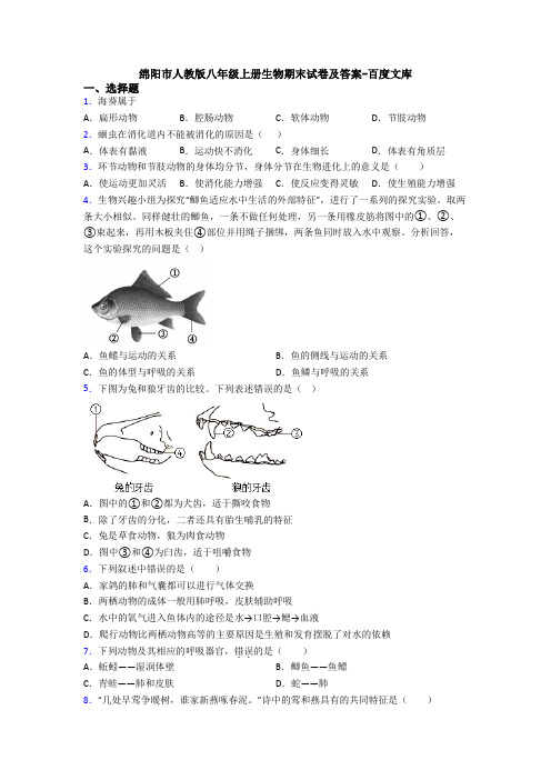 绵阳市人教版八年级上册生物期末试卷及答案-百度文库