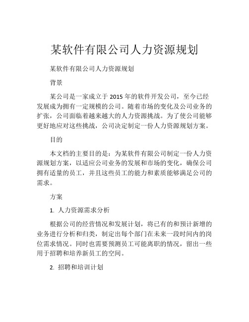 某软件有限公司人力资源规划