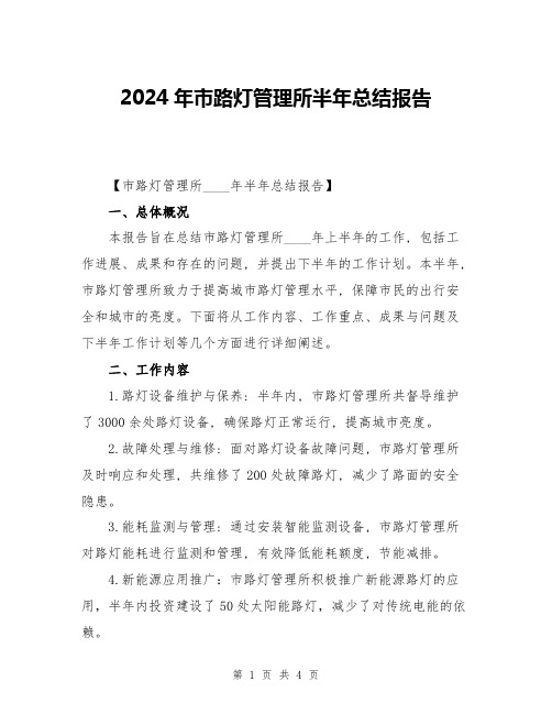 2024年市路灯管理所半年总结报告