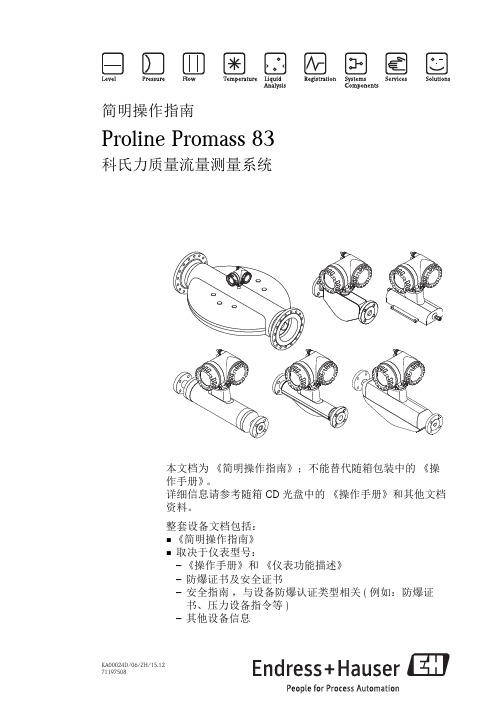 KA00024DZH Proline Promass 83 科氏力质量流量计简明操作指南