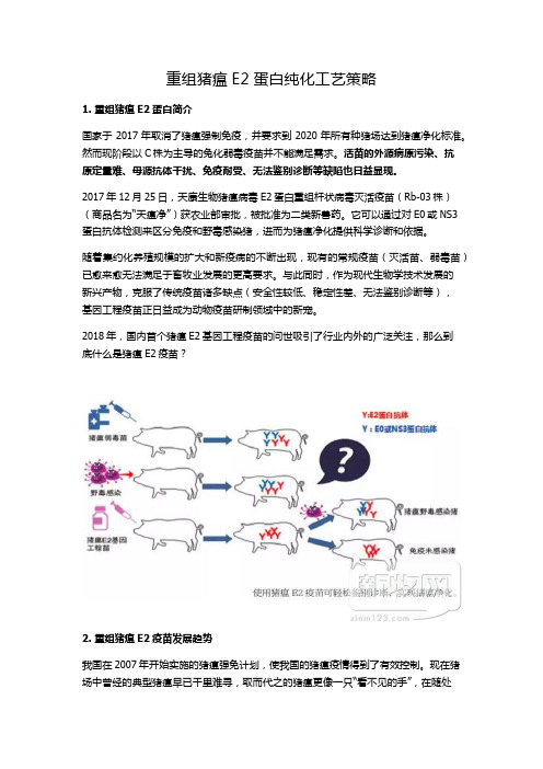 重组猪瘟E2蛋白纯化工艺策略