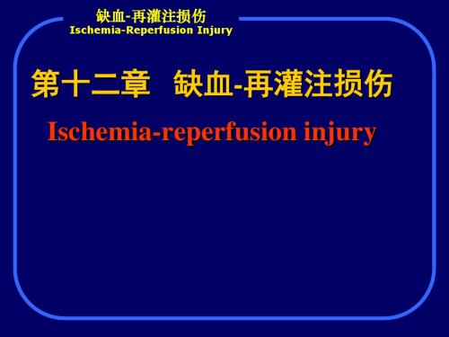 第十二章   缺血-再灌注损伤