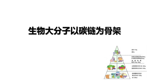 生物大分子以碳链为骨架