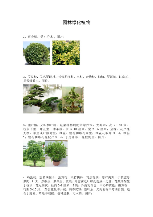 园林绿化植物