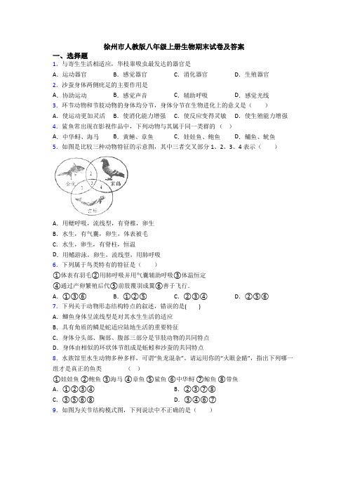 徐州市人教版八年级上册生物期末试卷及答案