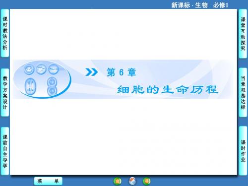 高中生物(人教版)必修1课件：第6章《细胞的生命历程》