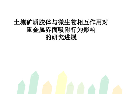 文献综述7_土壤胶体与微生物相互作用对重金属界面吸附影响