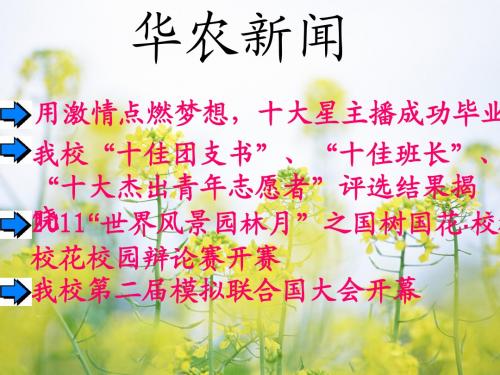 华农新闻ppt