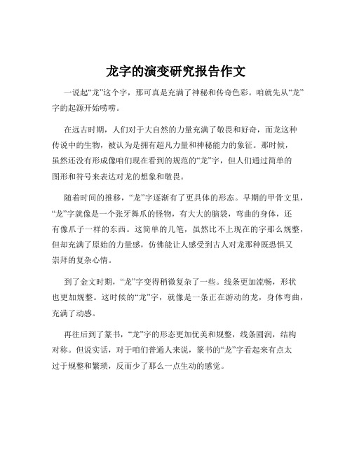 龙字的演变研究报告作文