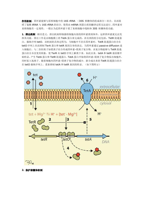 四环素