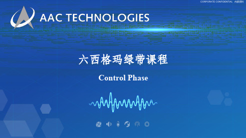 六西格玛GB11-控制-控制介绍A