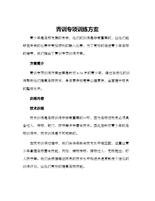 青训专项训练方案