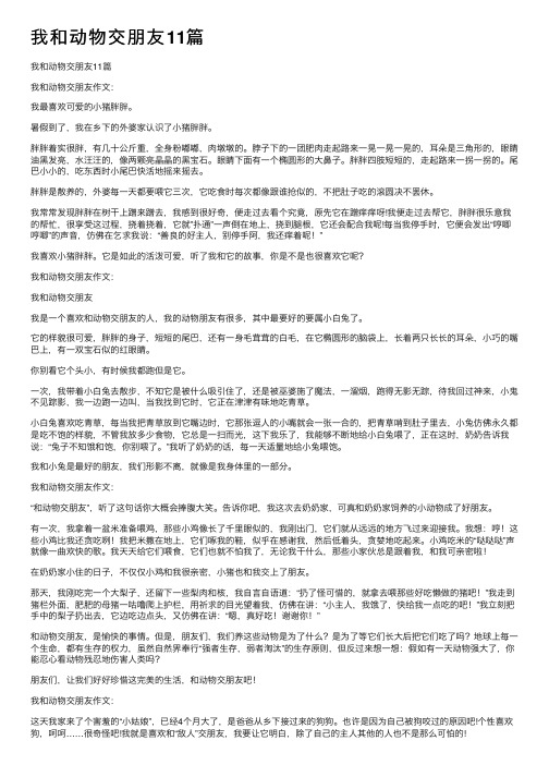 我和动物交朋友11篇