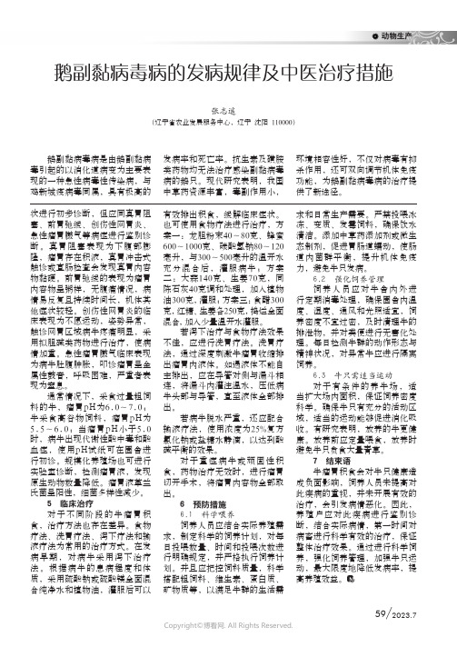 鹅副黏病毒病的发病规律及中医治疗措施