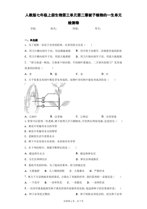 人教版七年级上册生物第三单元第二章被子植物的一生单元检测卷